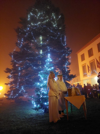 Rozsvícení vánočního stromu